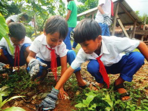 Giáo dục về môi trường